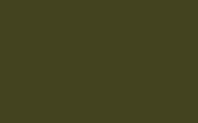 Little Greene Olive Colour 72 - paint colour from Decor Express