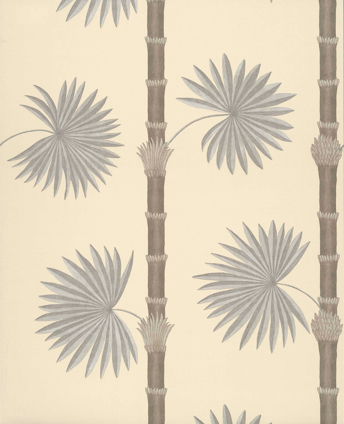 Paint & Paper Library Hardy Palm Canvas Iii wallpaper swatch