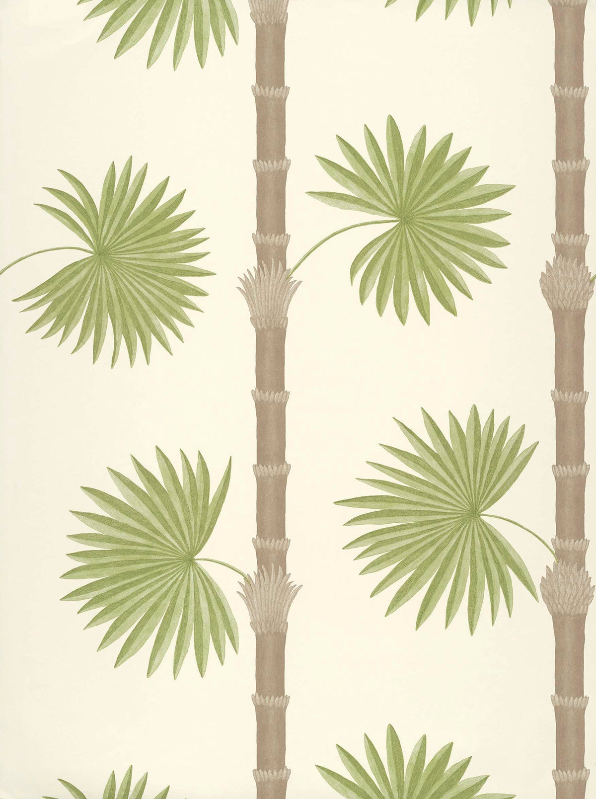 Paint & Paper Library Hardy Palm Sand Iii wallpaper swatch