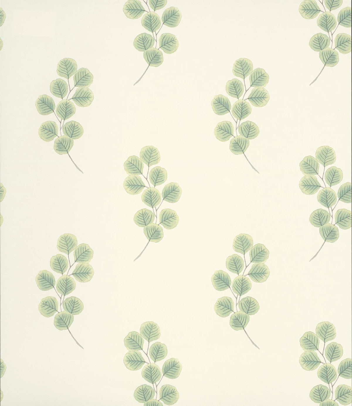 Paint & Paper Library Honesty Chelsea Green Ii wallpaper swatch