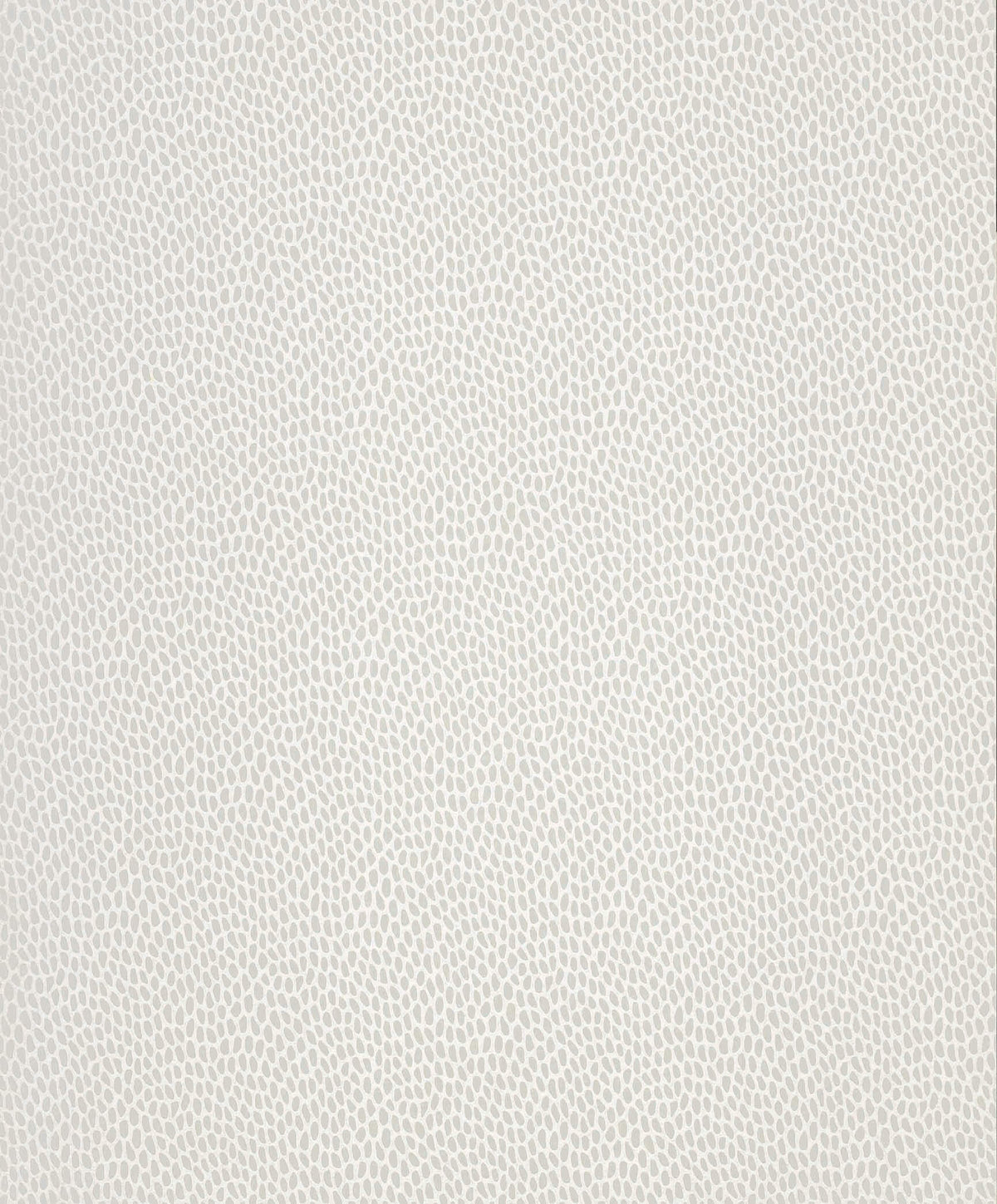 Paint & Paper Library Seedpod Salt wallpaper swatch