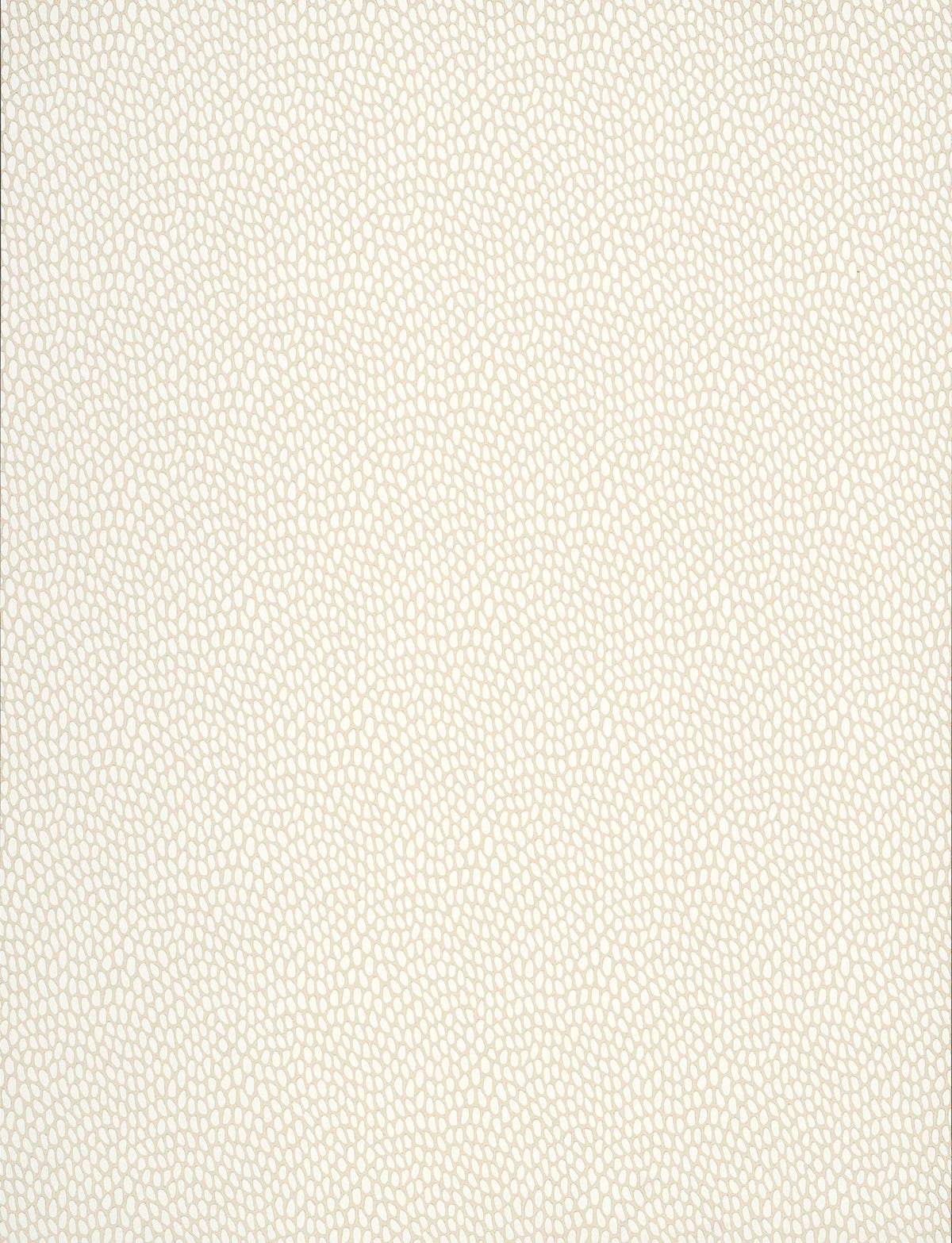 Paint & Paper Library Seedpod Sand wallpaper swatch