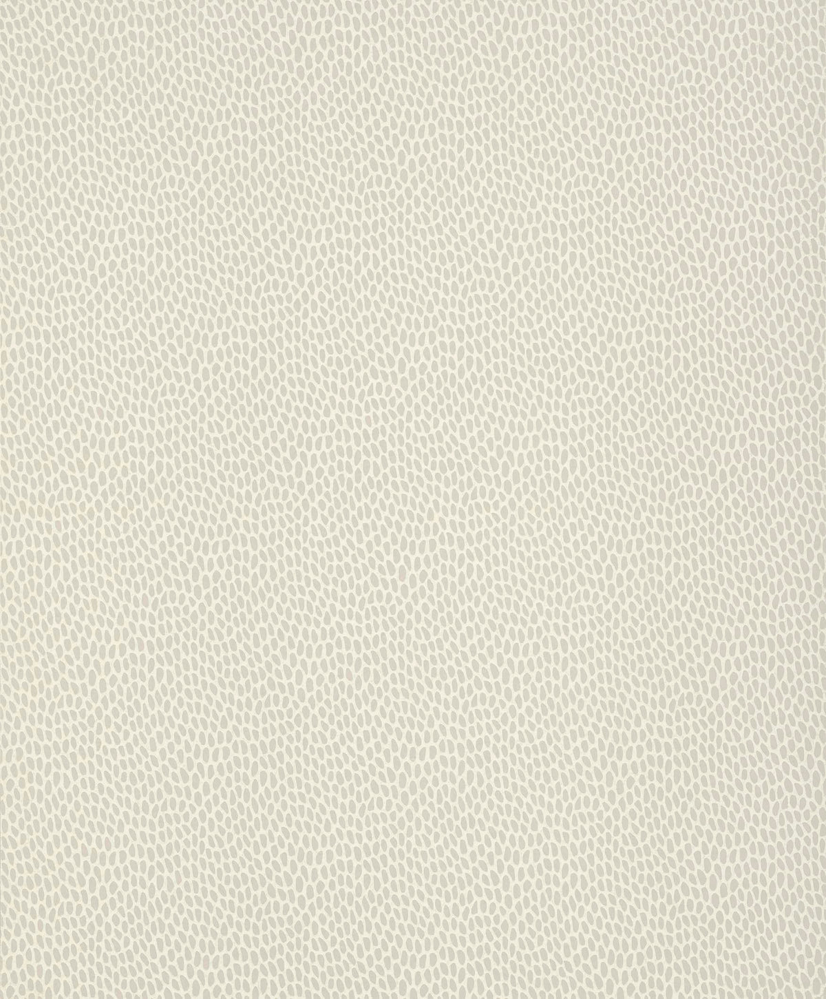 Paint & Paper Library Seedpod Wattle wallpaper swatch