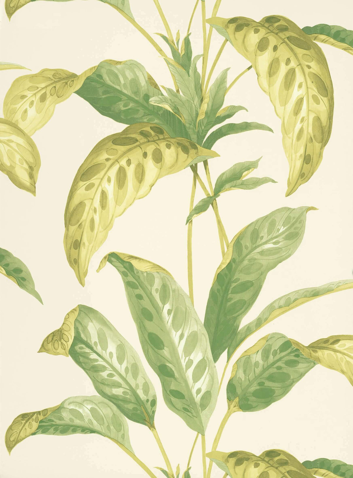 Paint & Paper Library Tropicane Chelsea Green Ii wallpaper swatch