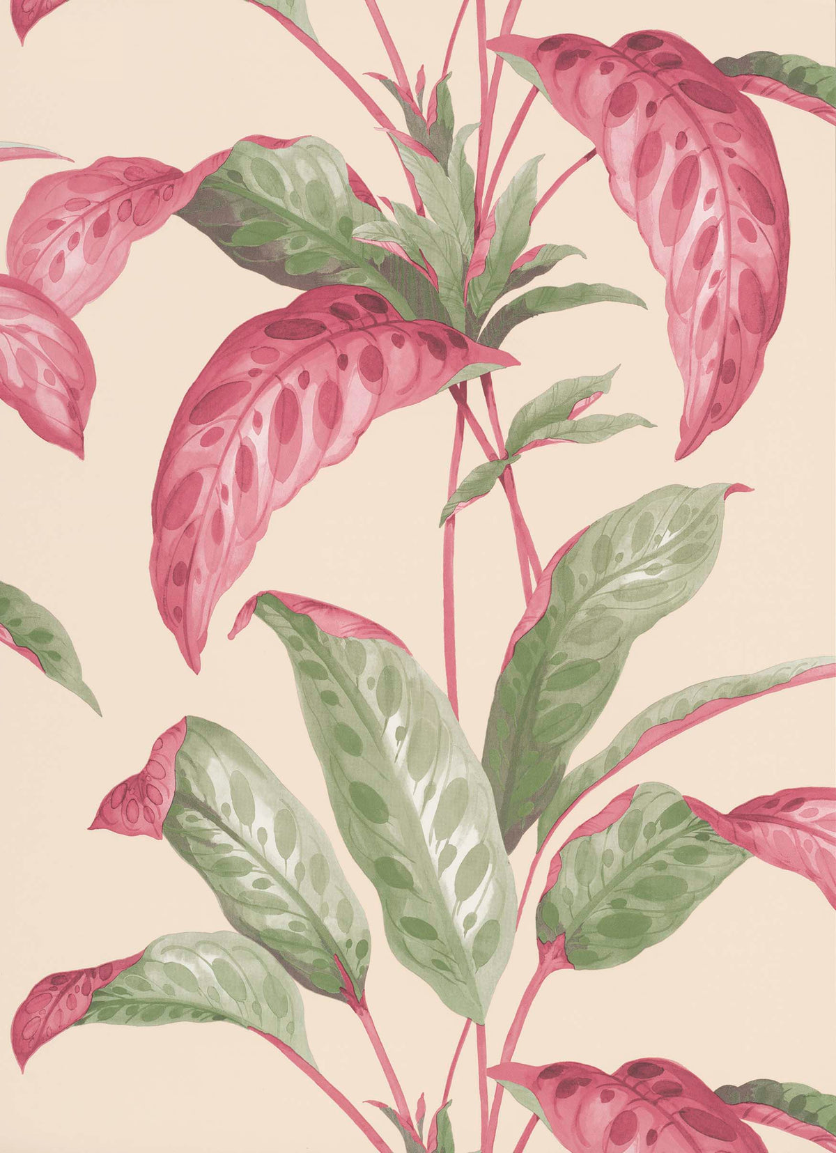 Paint & Paper Library Tropicane Rhubarb wallpaper swatch