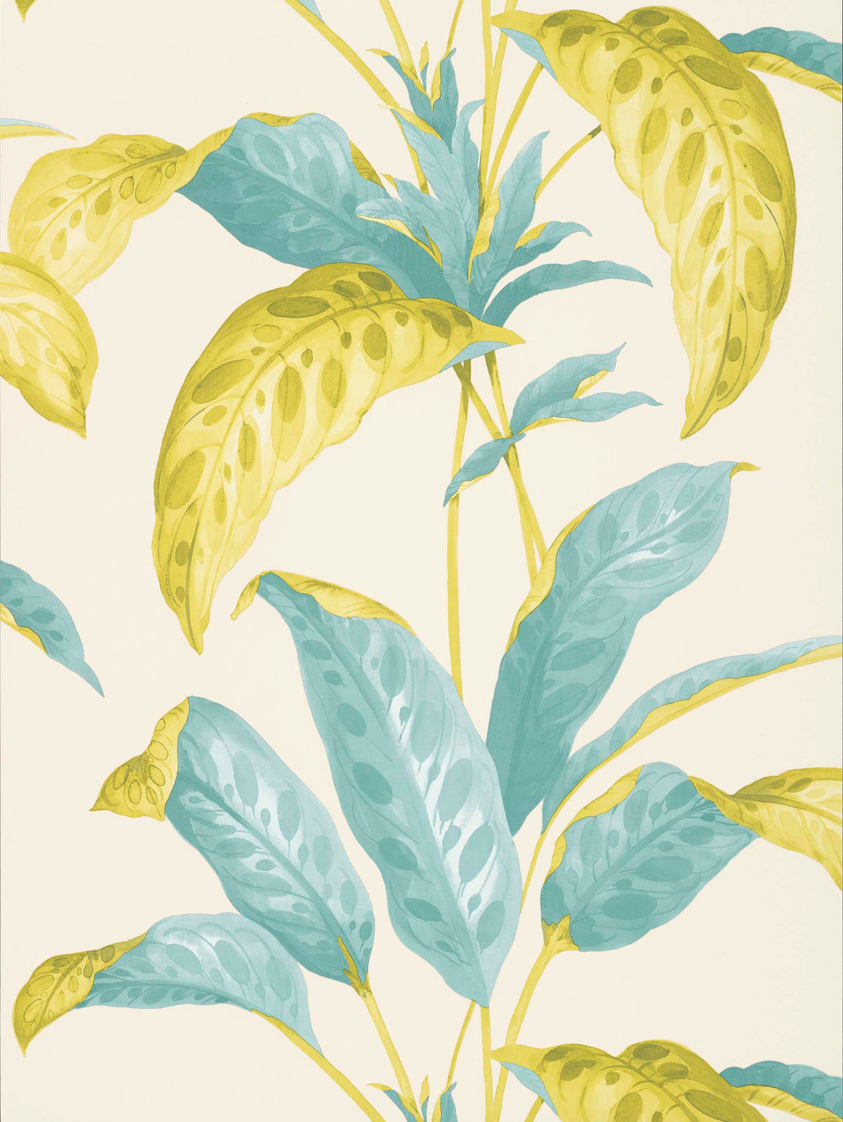 Paint & Paper Library Tropicane Scallion wallpaper swatch