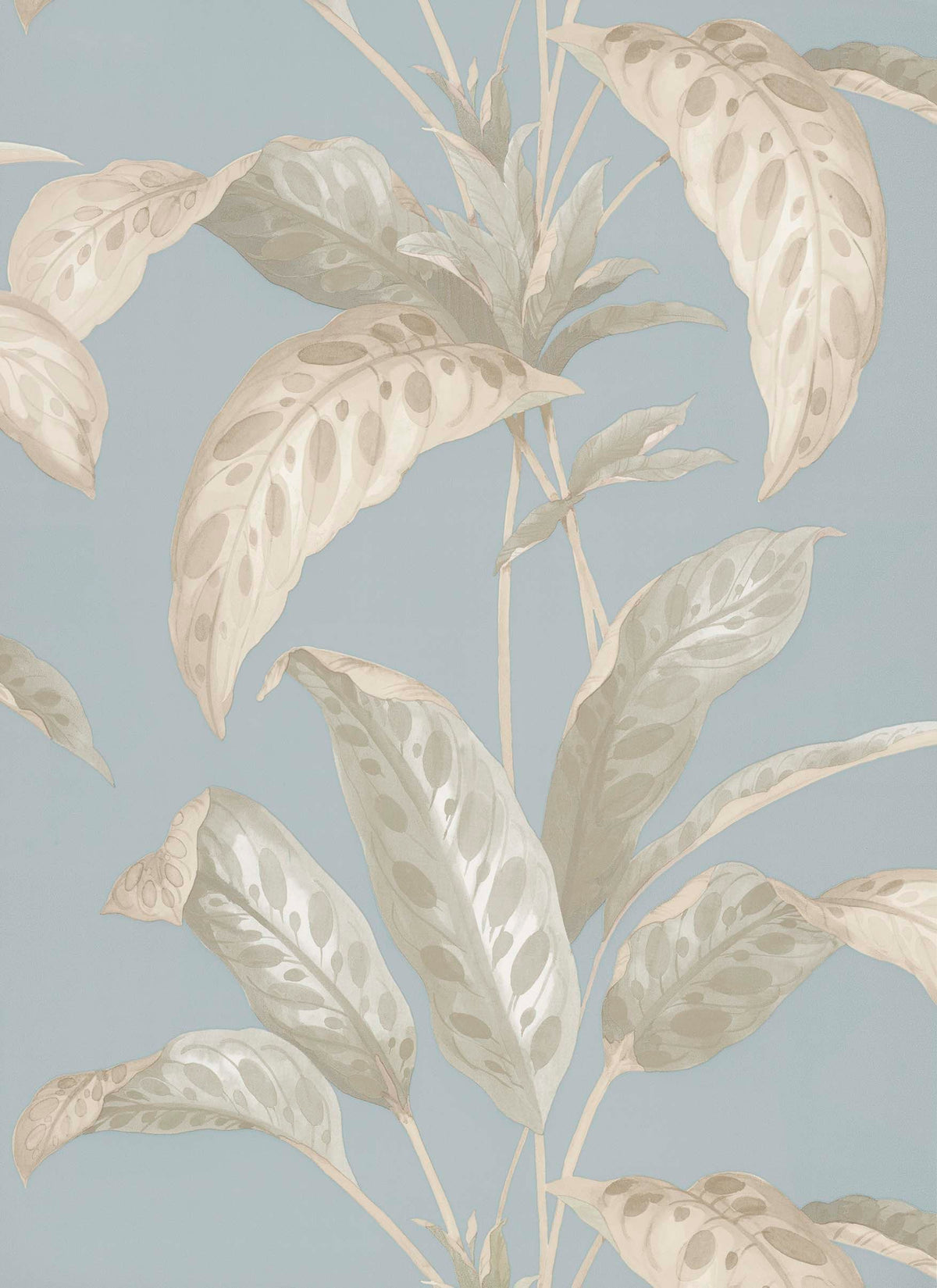 Paint & Paper Library Tropicane Sea Nor Sky wallpaper swatch