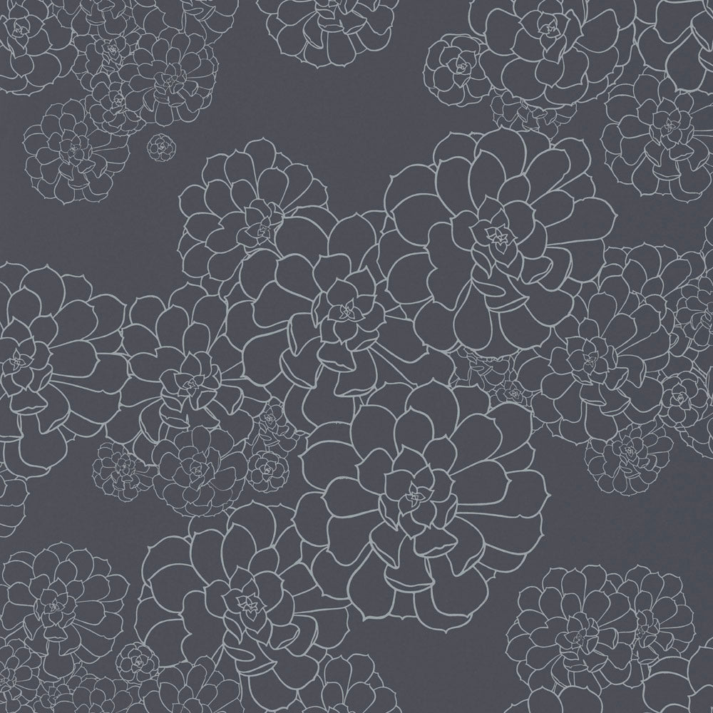 Paint & Paper Library Aeonium Blue Blood wallpaper swatch