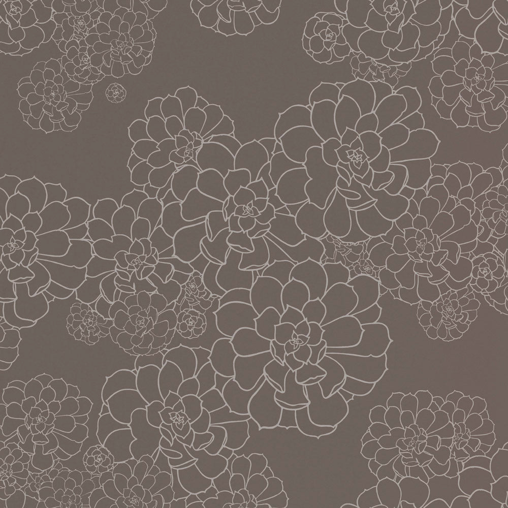 Paint & Paper Library Aeonium Monument wallpaper swatch