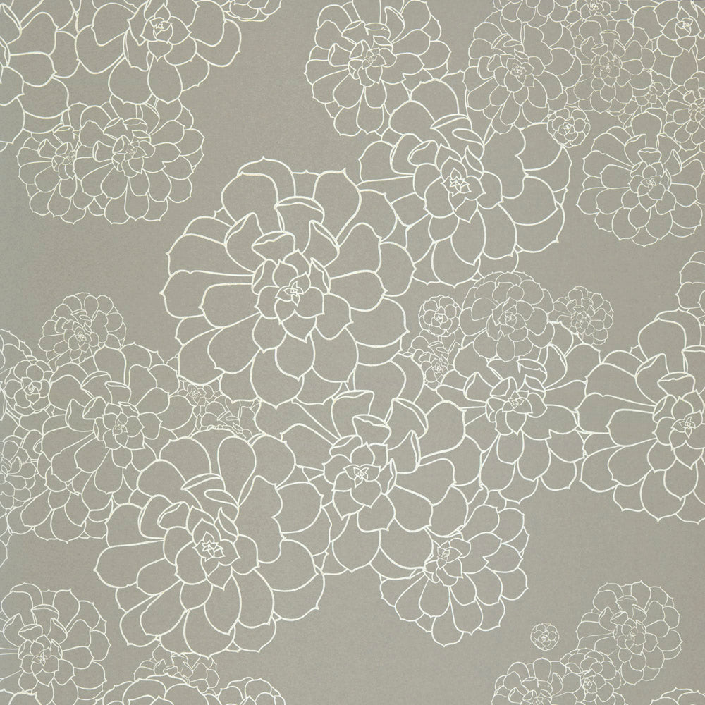Paint & Paper Library Aeonium Steel wallpaper swatch