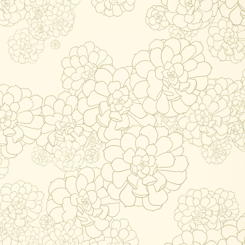 Paint & Paper Library Aeonium Wattle wallpaper swatch