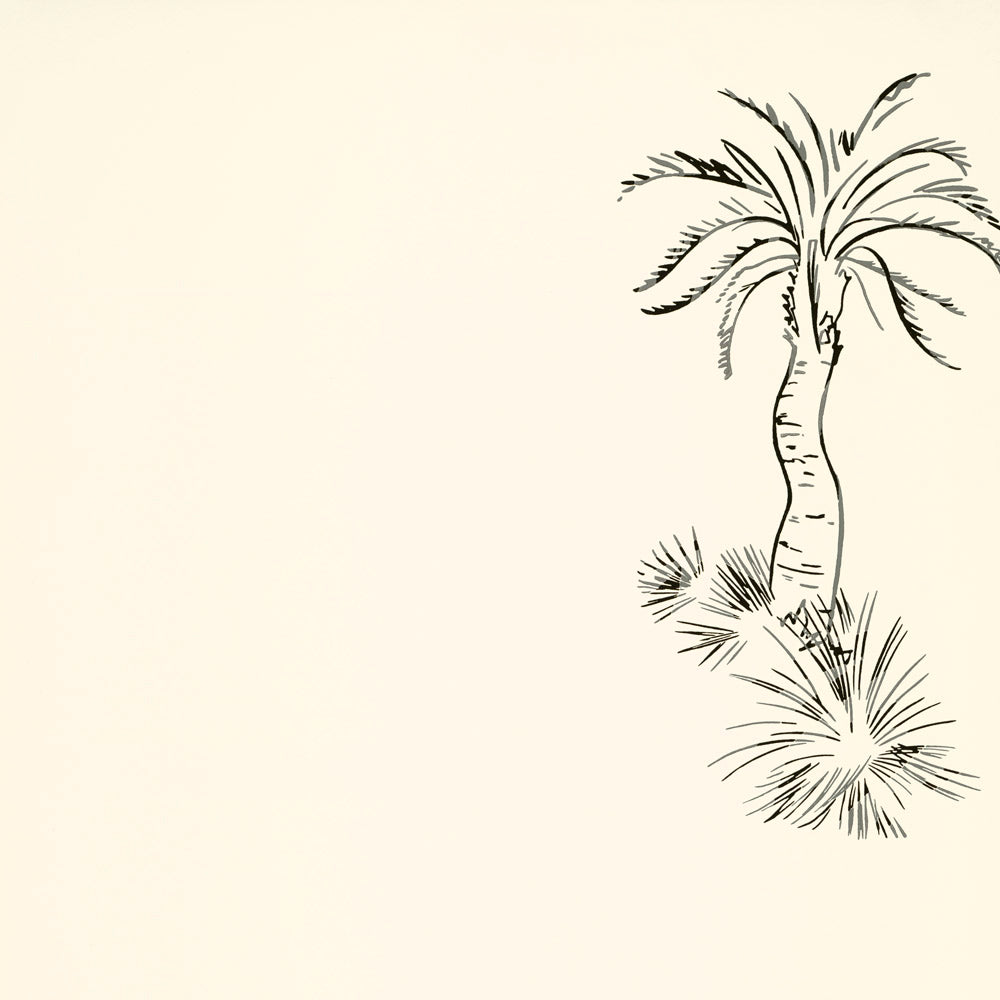 Paint & Paper Library Lighthouse Palm Pentle wallpaper swatch