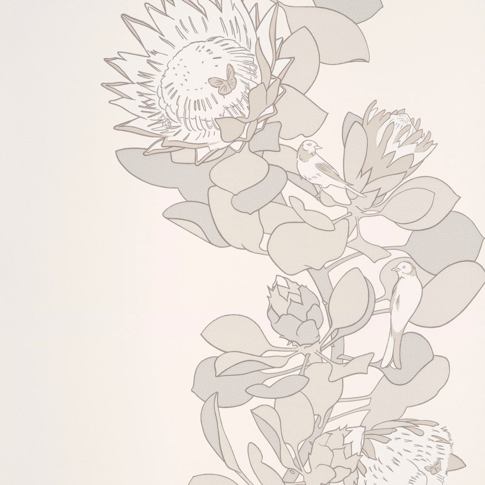 Paint & Paper Library Protea Trail Slate wallpaper swatch