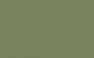 Little Greene Sage Green 80