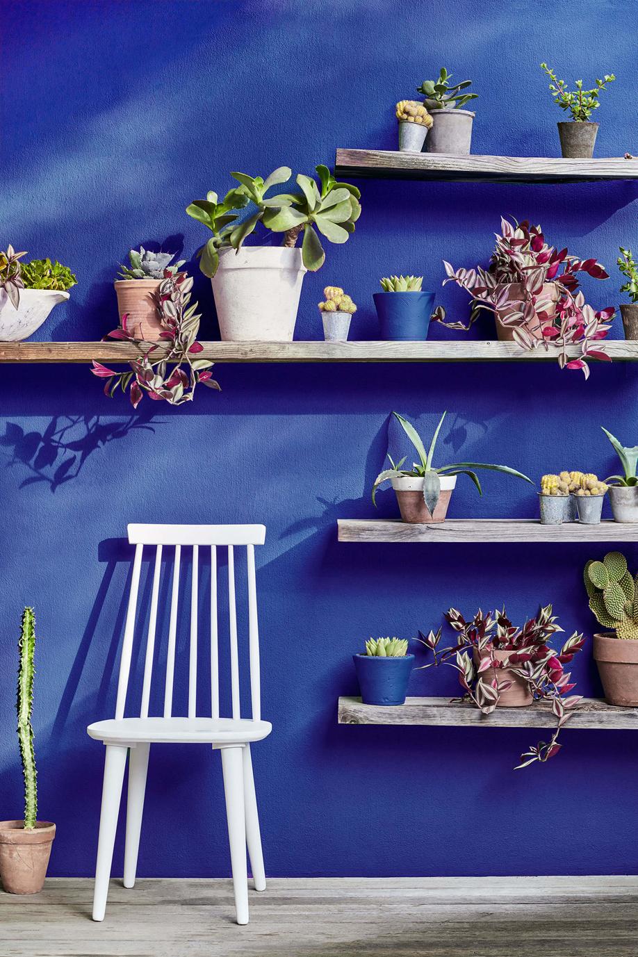 Little Greene Smalt 255