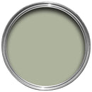 Farrow & Ball Vert De Terre 234 Sample Pot 100ml