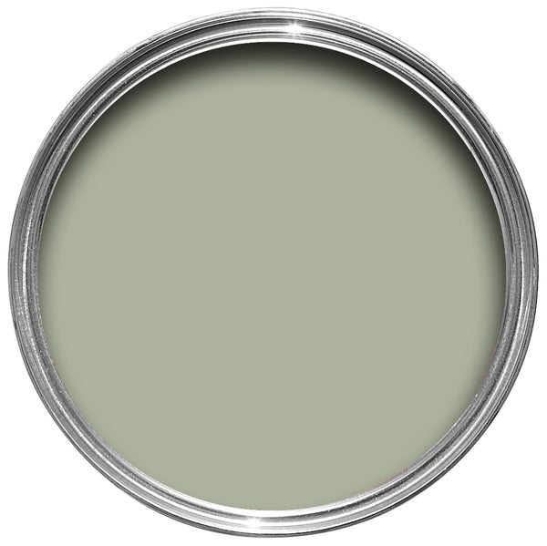 Farrow & Ball Vert De Terre 234 Sample Pot 100ml