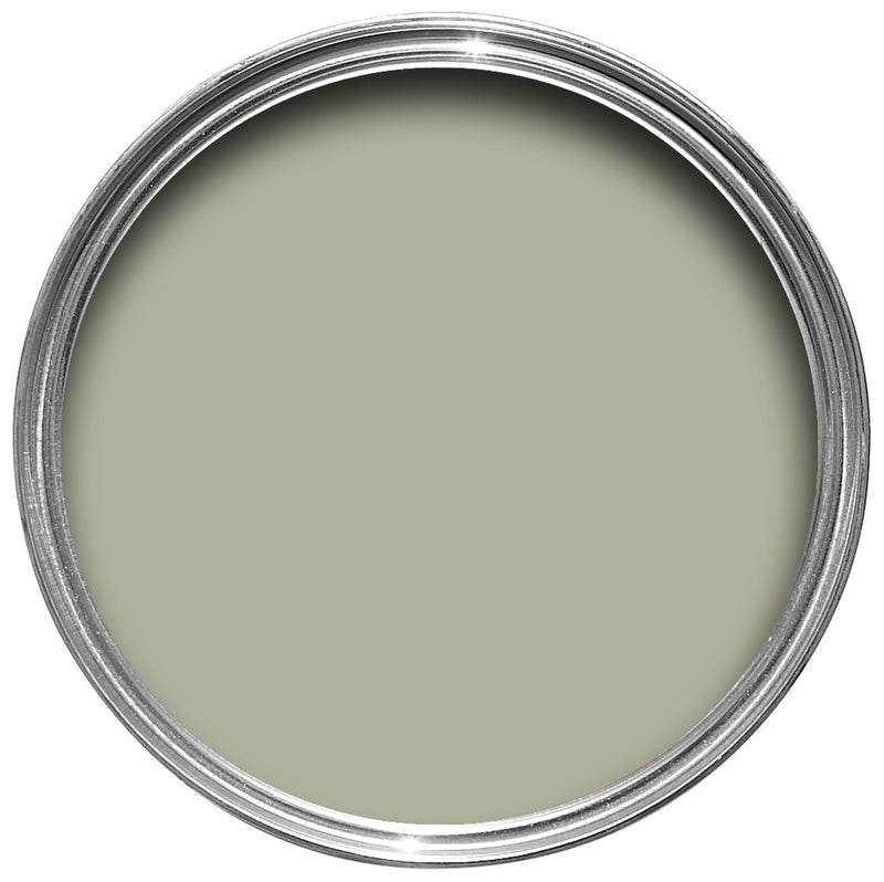 Farrow & Ball Vert De Terre 234 Sample Pot 100ml
