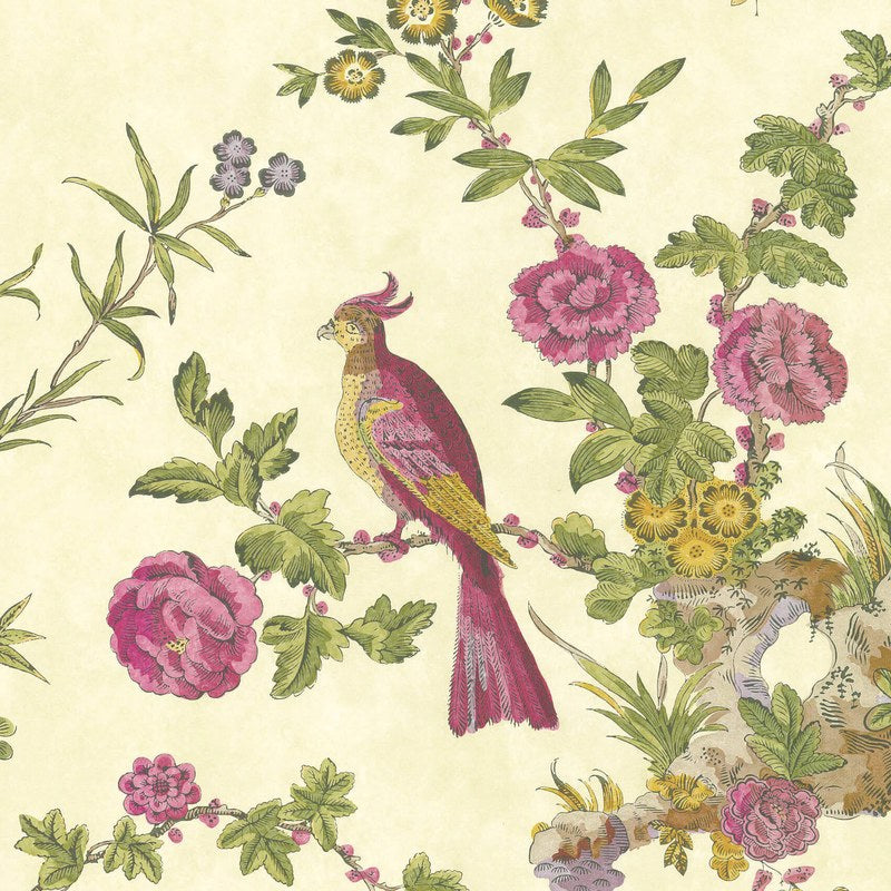 Little Greene Darwin wallpaper in Jeune
