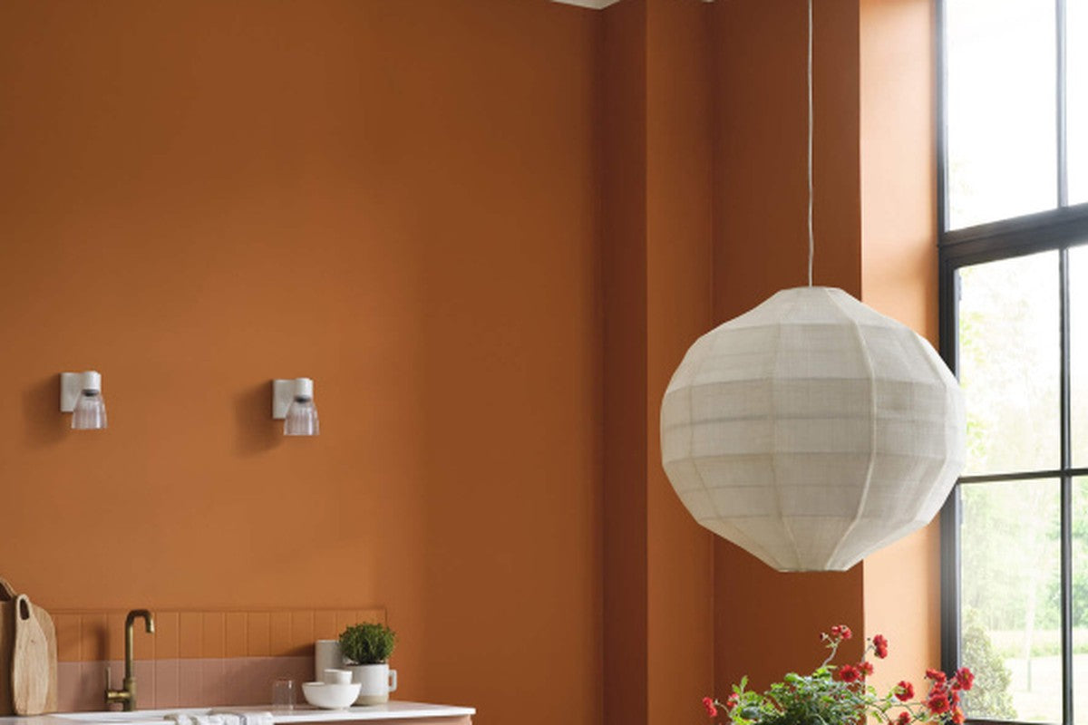 Premium designer paint interior inspiration