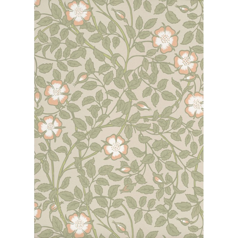 Little Greene Briar Rose wallpaper in Green Mist