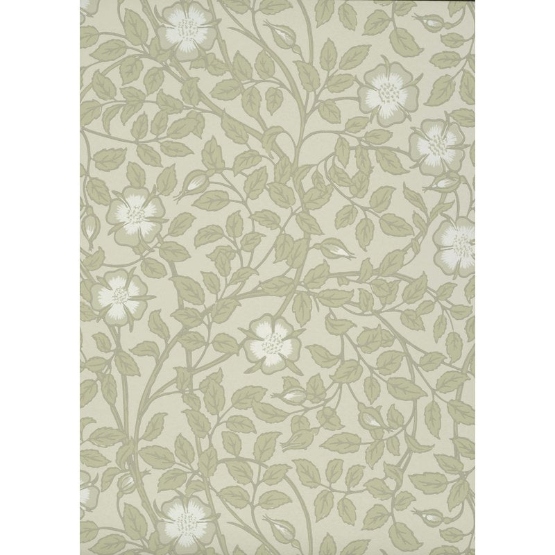 Little Greene Briar Rose wallpaper in Green Stone