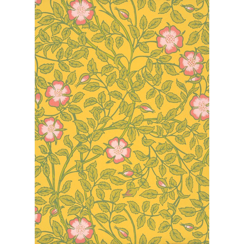 Little Greene Briar Rose wallpaper in Indian Yellow