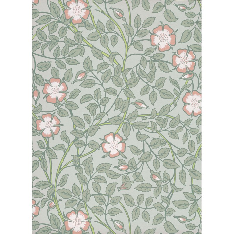 Little Greene Briar Rose wallpaper in Salix