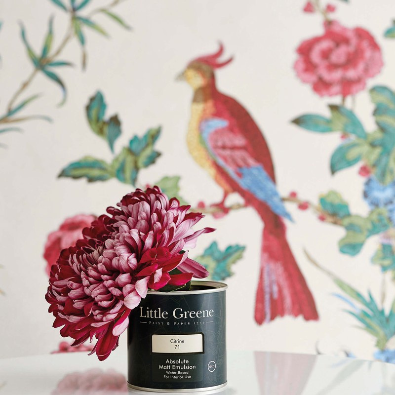 Little Greene Darwin wallpaper — lifestyle image 23