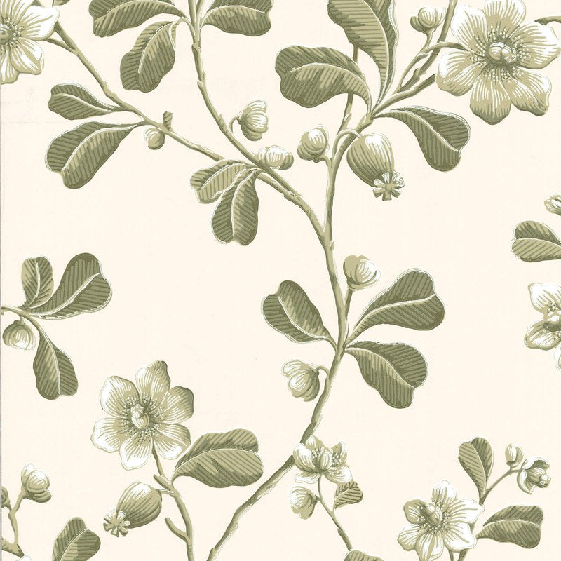 Little Greene Broadwick St wallpaper in Garden