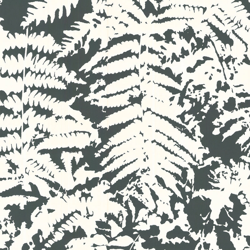 Little Greene Fern wallpaper in Off Black