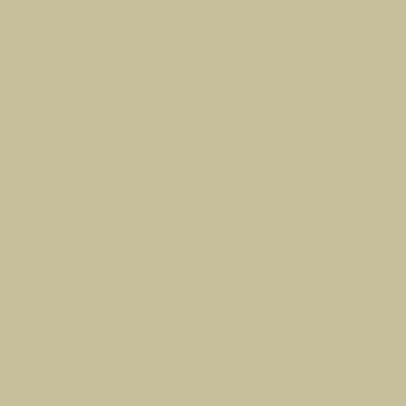 Little Greene Stone-Dark-Cool 67 colour swatch