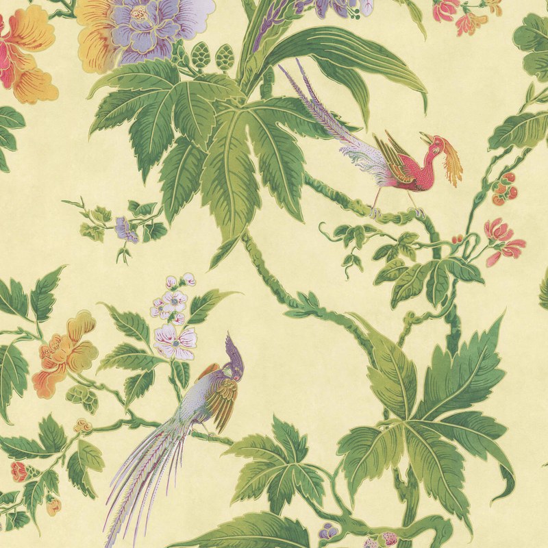 Little Greene Paradise wallpaper in Sunrise