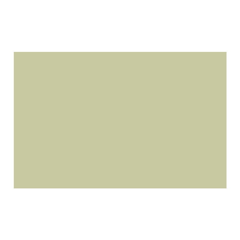Paint & Paper Library Artichoke 568 colour swatch