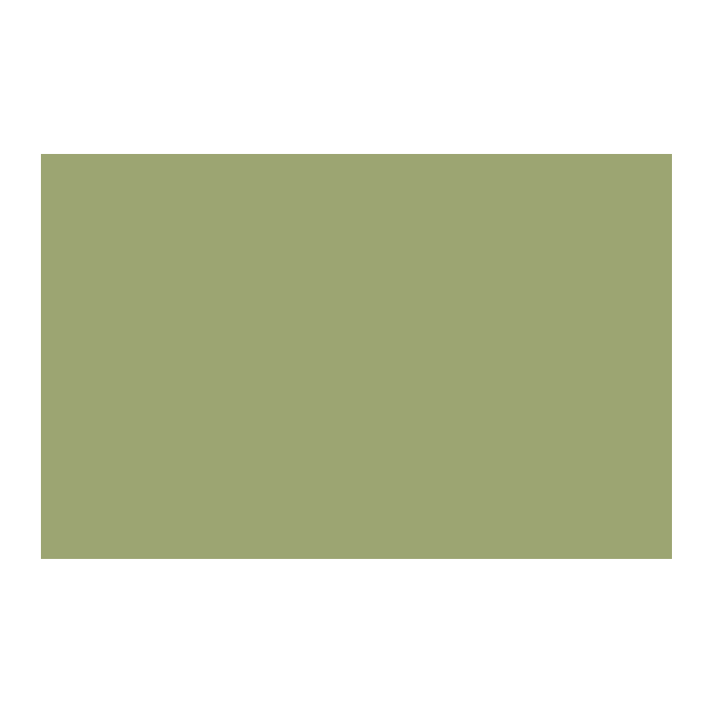 Paint & Paper Library Chelsea Green II 549 colour swatch