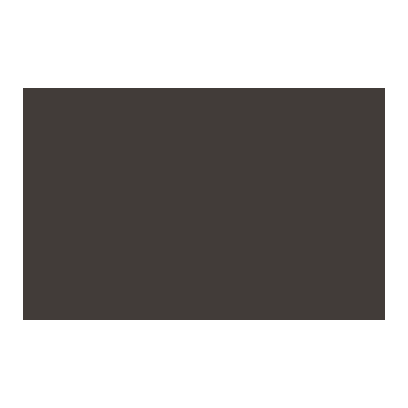 Paint & Paper Library Copper Beech 314 colour swatch