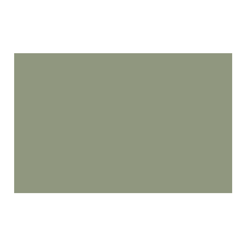 Paint & Paper Library Greenback 579 colour swatch