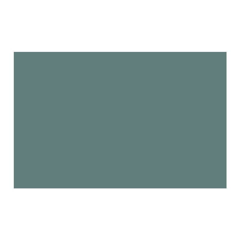 Paint & Paper Library Iguana 551 colour swatch
