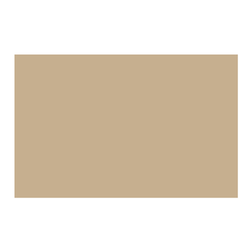 Paint & Paper Library Leather V 235