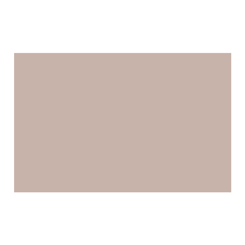 Paint & Paper Library Plaster V 405 colour swatch