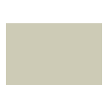 Paint & Paper Library Wattle IV 564