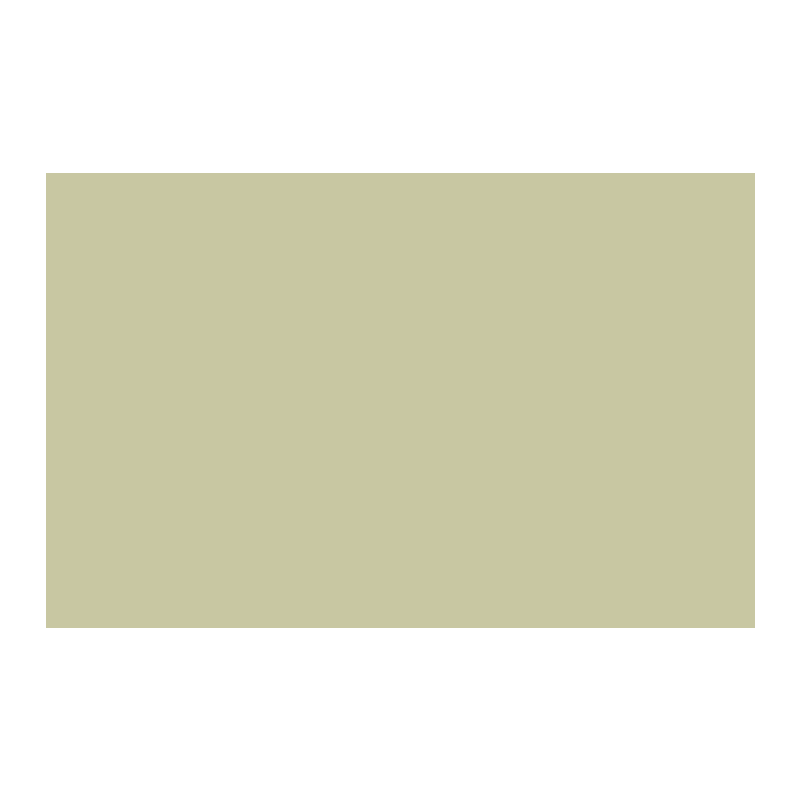 Paint & Paper Library Willow V 535 colour swatch