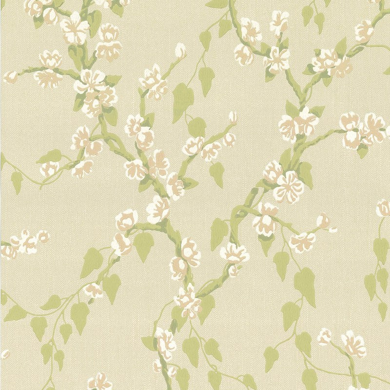 Little Greene Sakura wallpaper in Pomme