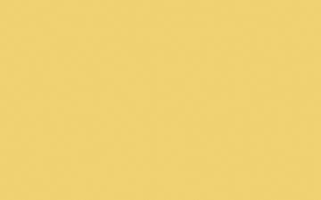 Little Greene Indian Yellow 335