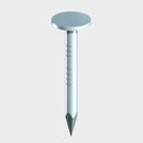 Clout Nails ELH Galvanised 1Kg