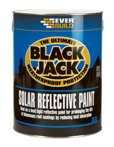 Solar Reflective Paint 5L