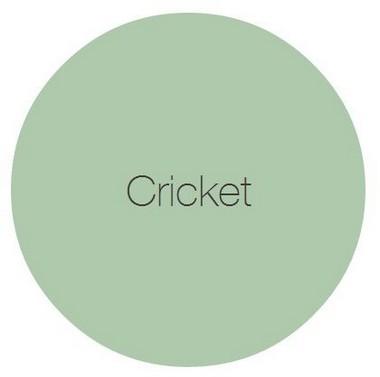 Sample Cricket 100 ml