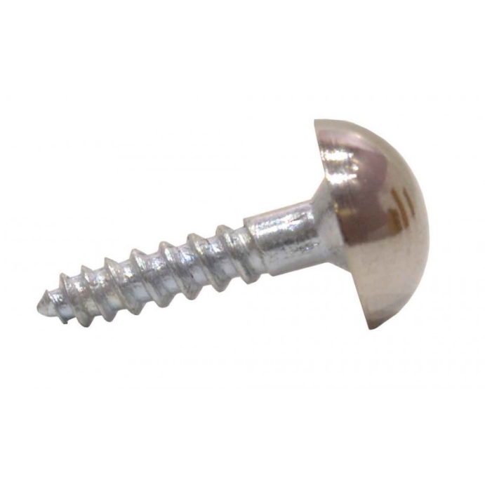 Dome Mirror Screws