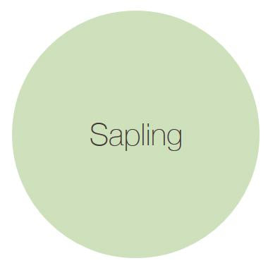 Sample Sapling 100 ml